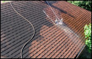 roof Cleaning