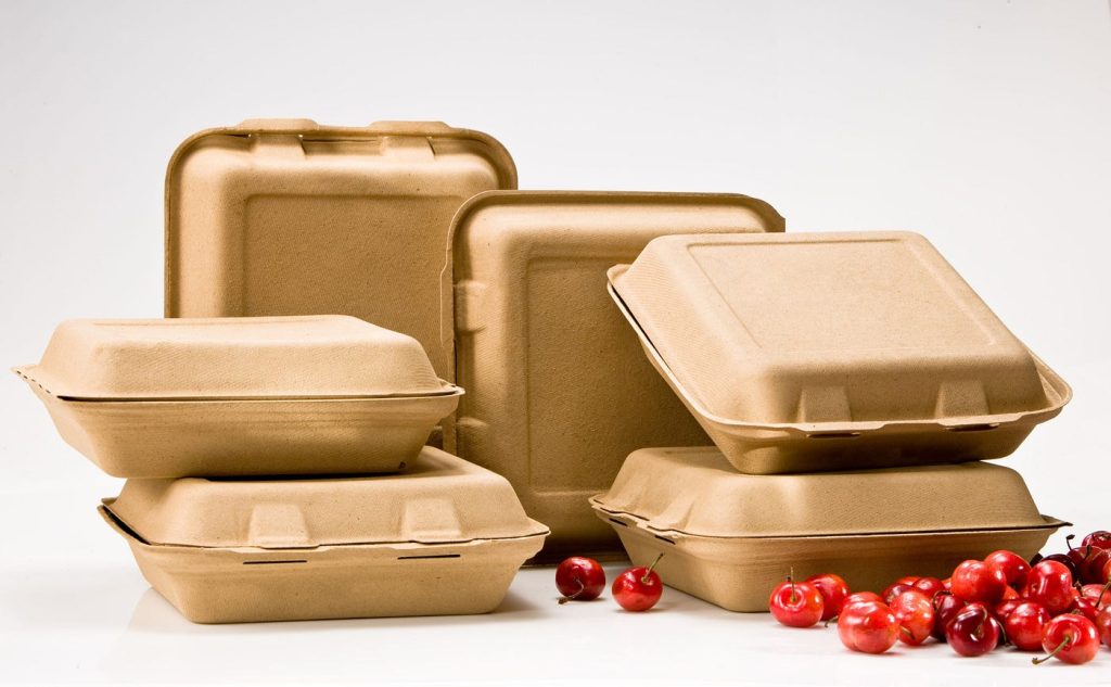 biodegradable food containers
