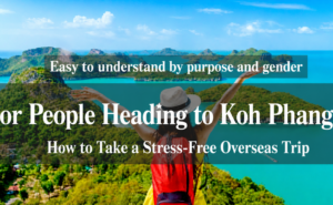 A traveler overlooking tropical islands and turquoise sea, with text explaining who Koh Phangan is suitable for